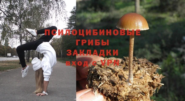 стафф Каменск-Шахтинский
