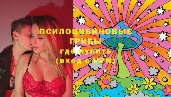 стафф Каменск-Шахтинский